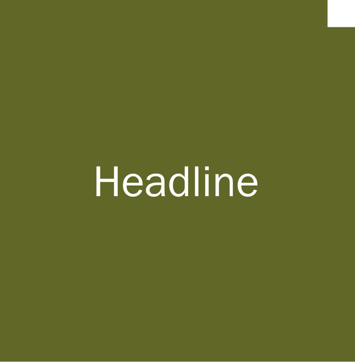 farbswatches_kombinationen_olivgruen_headline