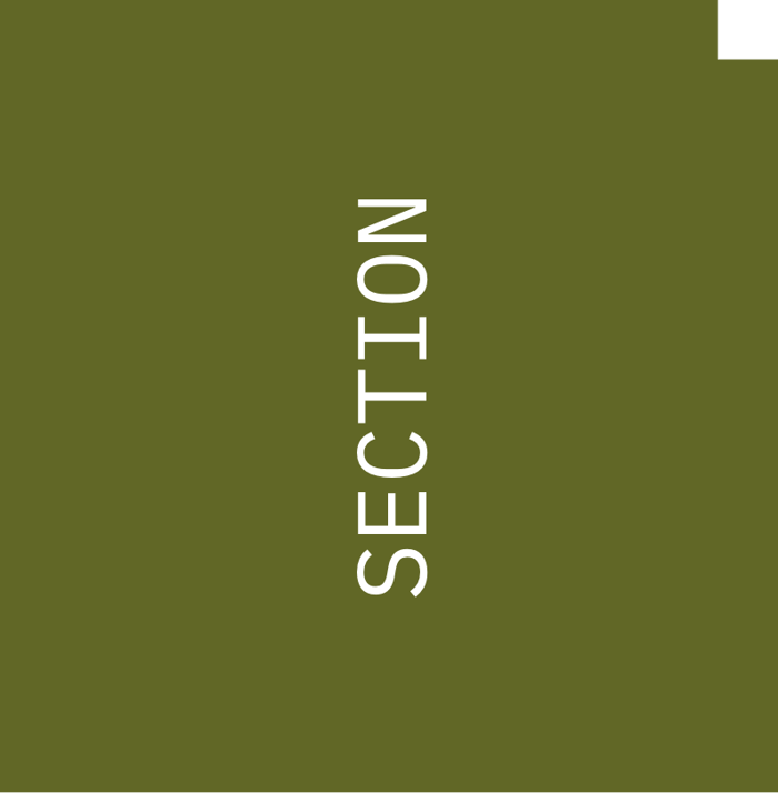 farbswatches_kombinationen_olivgruen_section_indicator