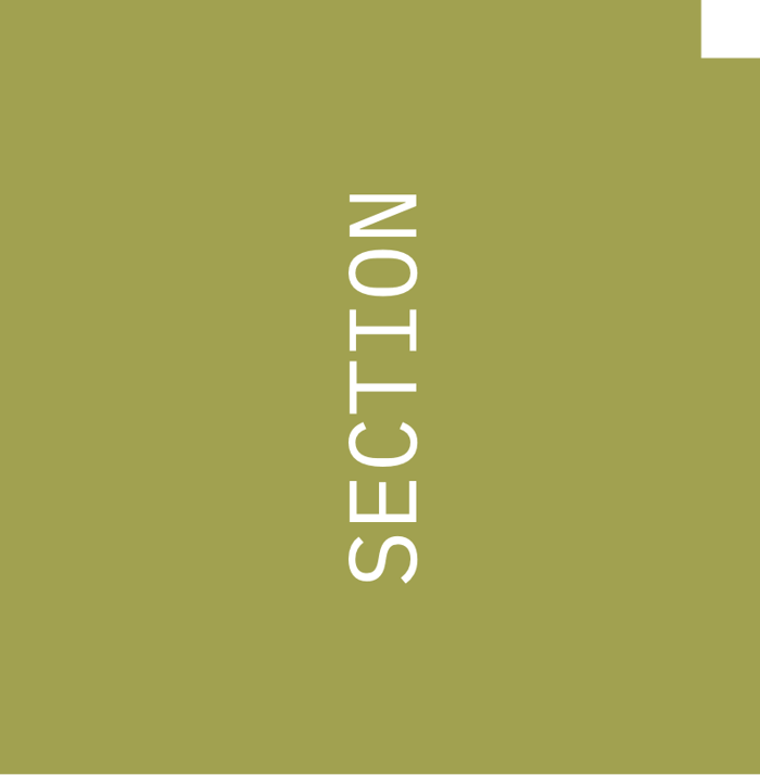 farbswatches_kombinationen_schilfgruen_section_indicator