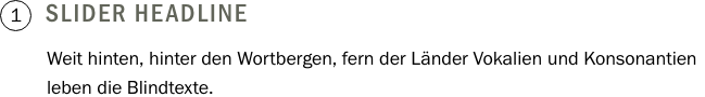 font_web_slider_01